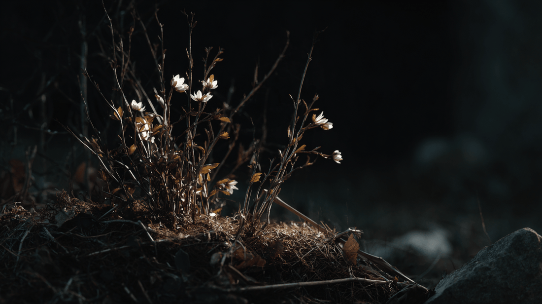 Imbolc : le sabbat du renouveau et de la lumière naissante - Mysticae