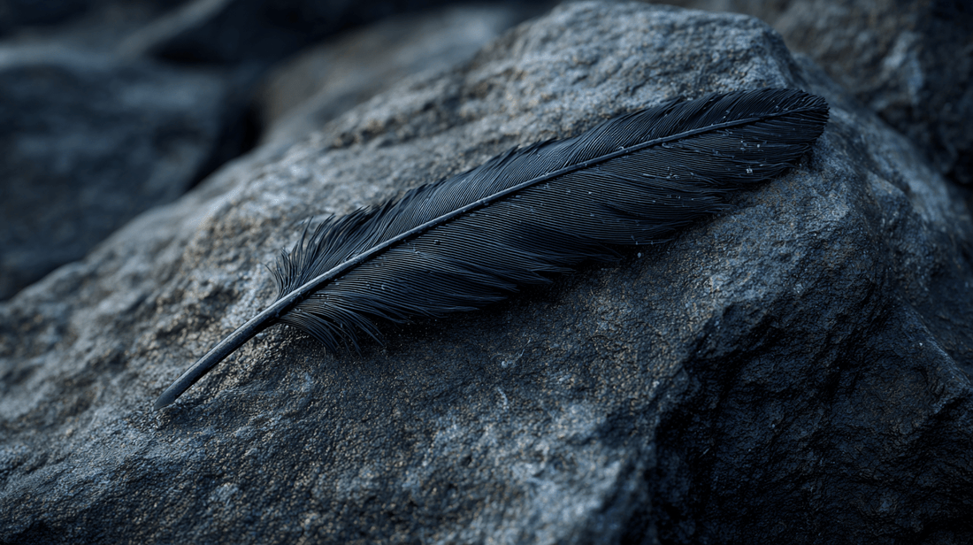 Pourquoi vous trouvez des plumes partout - Mysticae